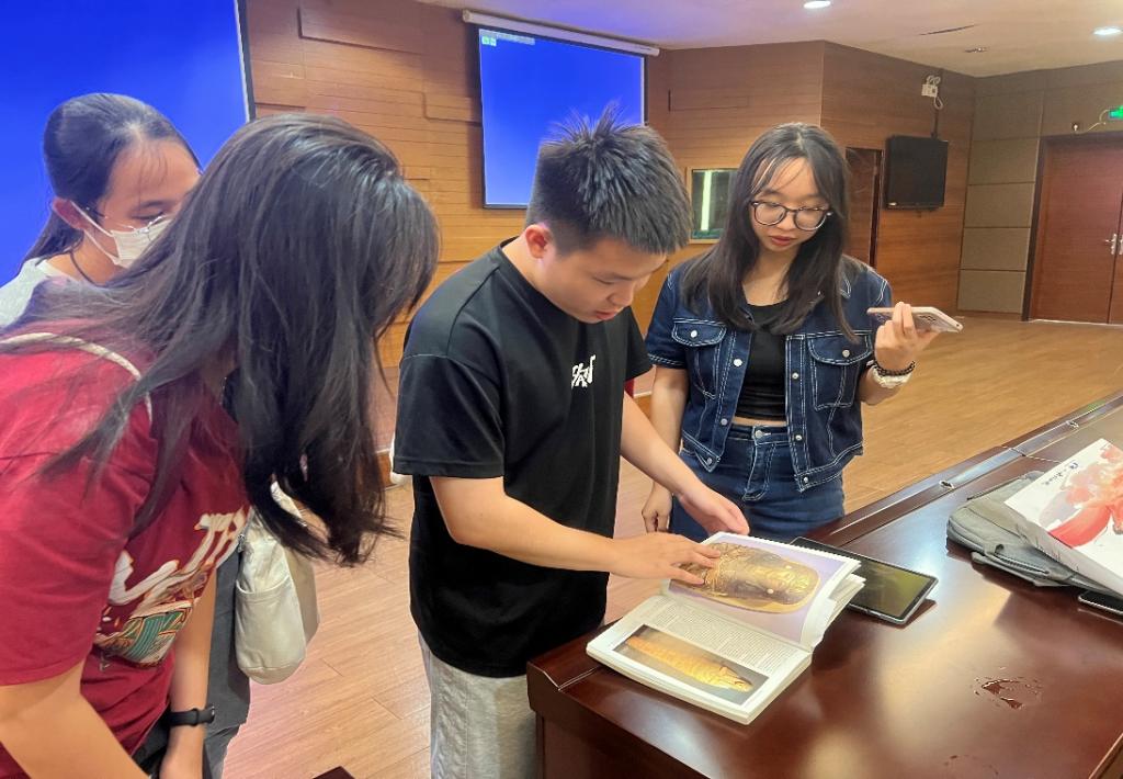 0B6D5E618C6FA85AD83AF18439B_2351EC33_18FF8