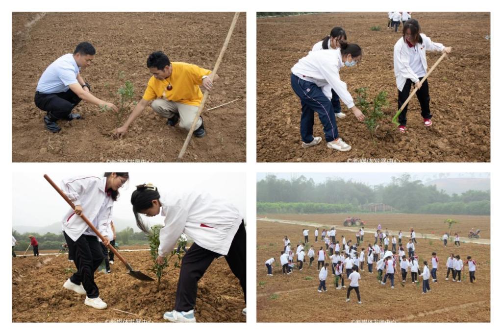 0337BB8B1041FFFDFED22CD8A87_F50567D4_1F2C5