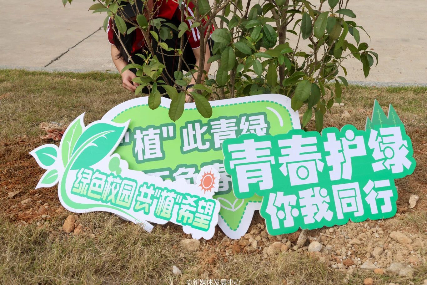 D27367A2D68A0A68F30031F0986_17914C02_4B12C