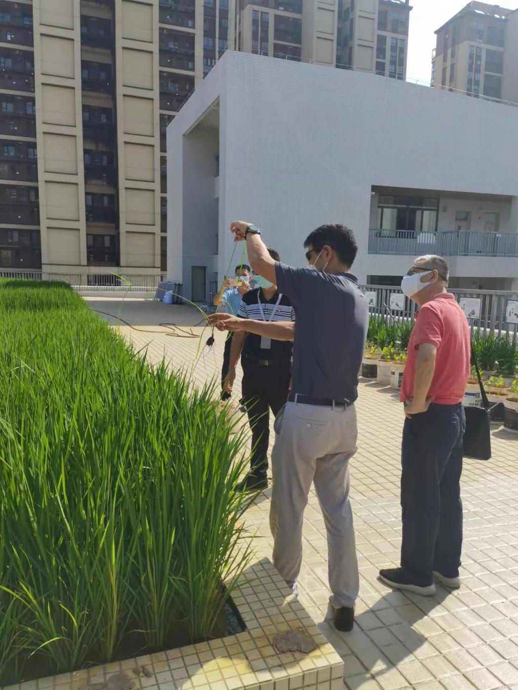 857754C07783A625F485EDC477B_FE55A7D4_2CA66