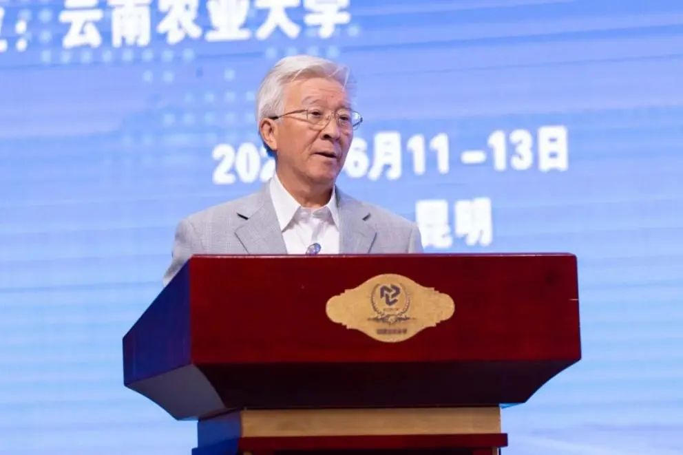 6FE7D313B9ED78B0A42AE360023_ACCC2C13_B5AA 6FE7D313B9ED78B0A42AE360023_ACCC2C13_B5AA