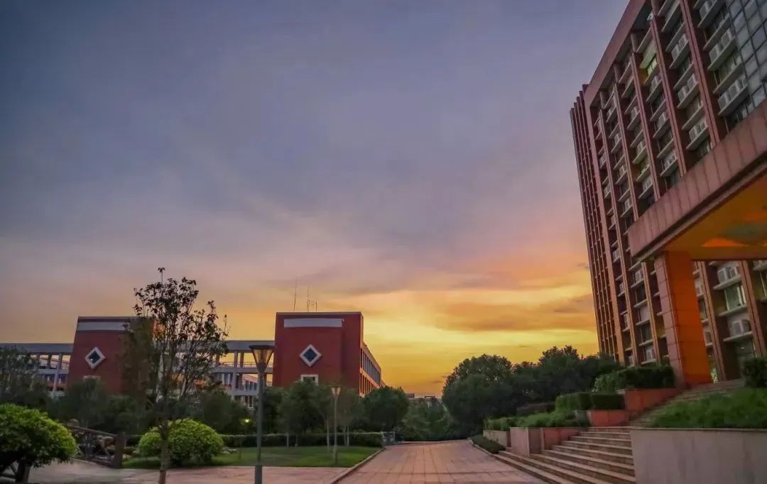 E53F65D3D5FA6F1F038B299547B_D536D403_13232