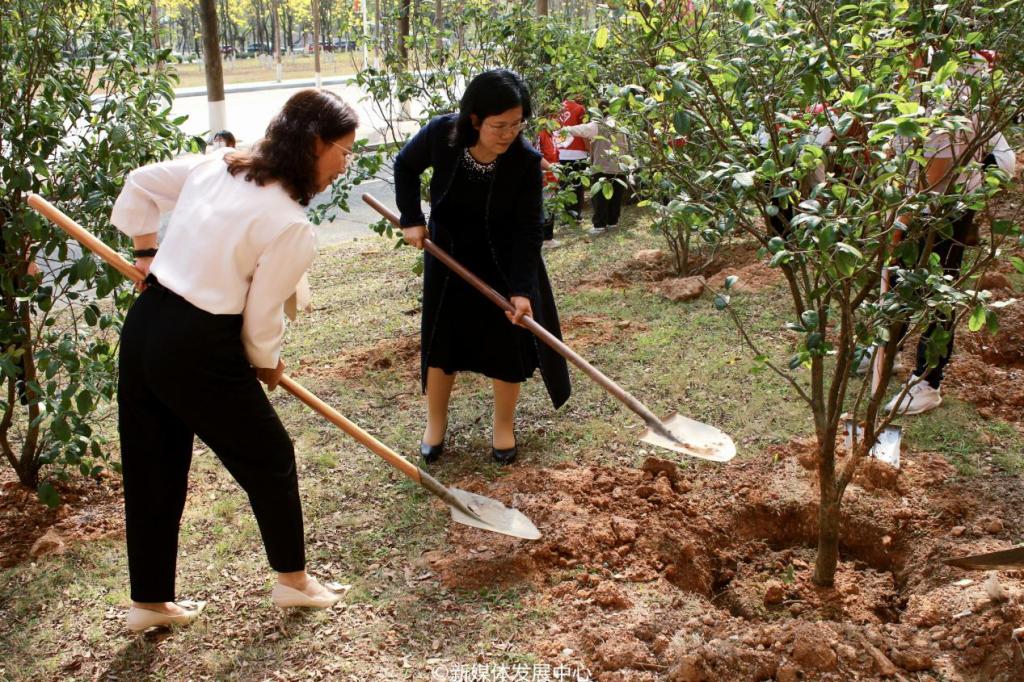 A2AD9FC86EFE61CECD278C2ED6F_E960BBA3_315FB