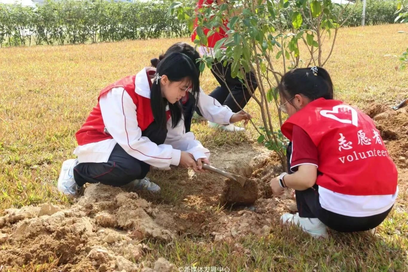 80847D2AD8445D1C48AB35C7C9E_8AC2C979_459C9