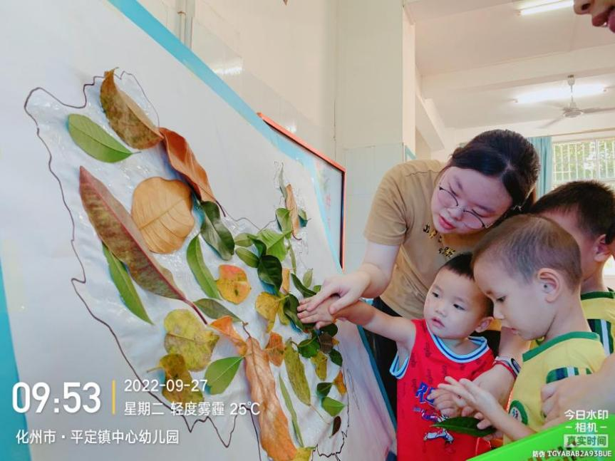 5384B585CA2FA91D1E9CCD9B0B5_A4B40373_9E1AC