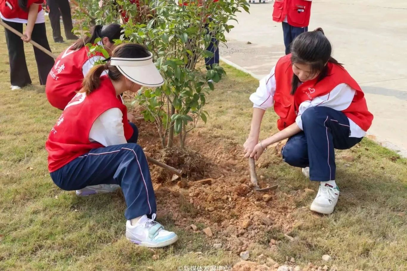 9A34EDD51FAD4FECBE336D6CF8A_136ED35D_3DAD5