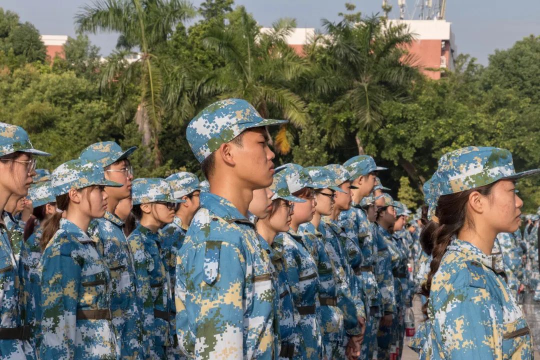 2AF662A56C1E274643D4DDB3F25_636261B2_2D9D3