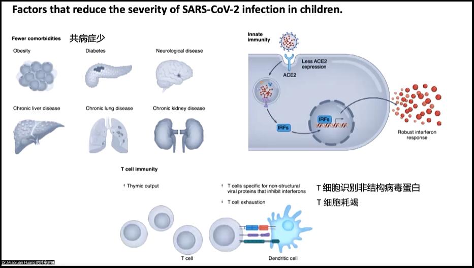 2584D62000C92DE4DACBB1CD01F_F88BB007_C6D0