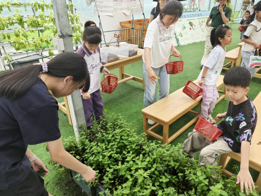 605D70983BC43E99515C0E7BB5B_34D2BEE8_F9780 F9780