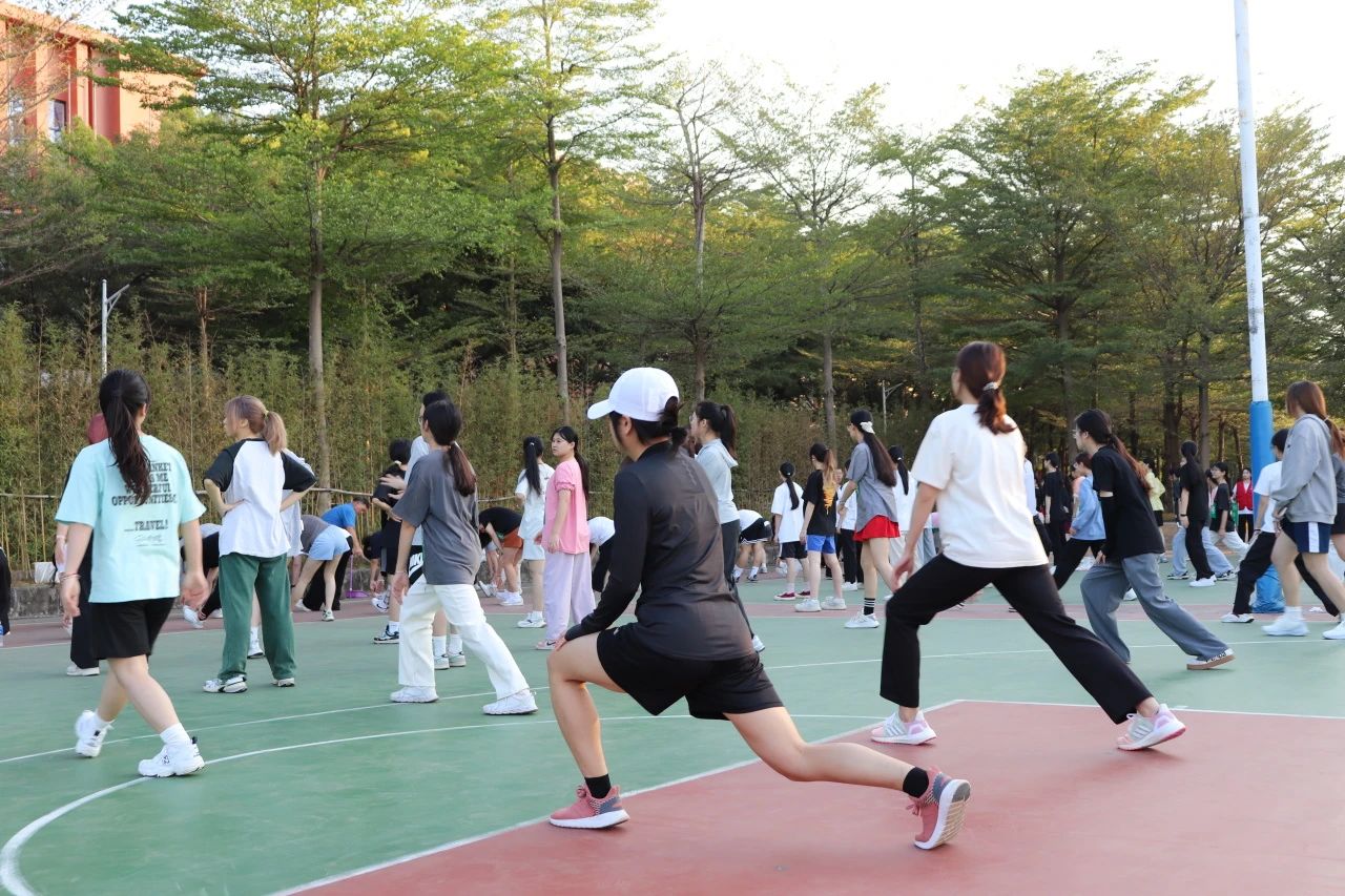 F955CCD68649D35D22082F4AB8B_9595DA8E_390C8