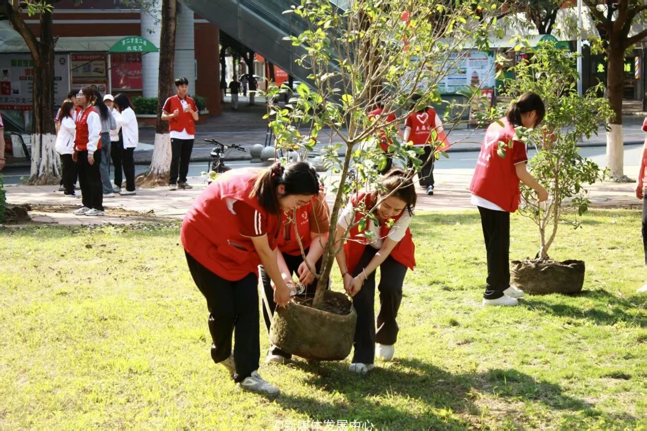 B032980F1FAFA3C01ADC891E65C_E749E3A7_41BCD