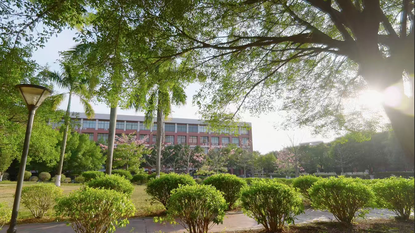 4AD4A1A0CDC734896398FB3BCDC_C14F4BB3_6226C