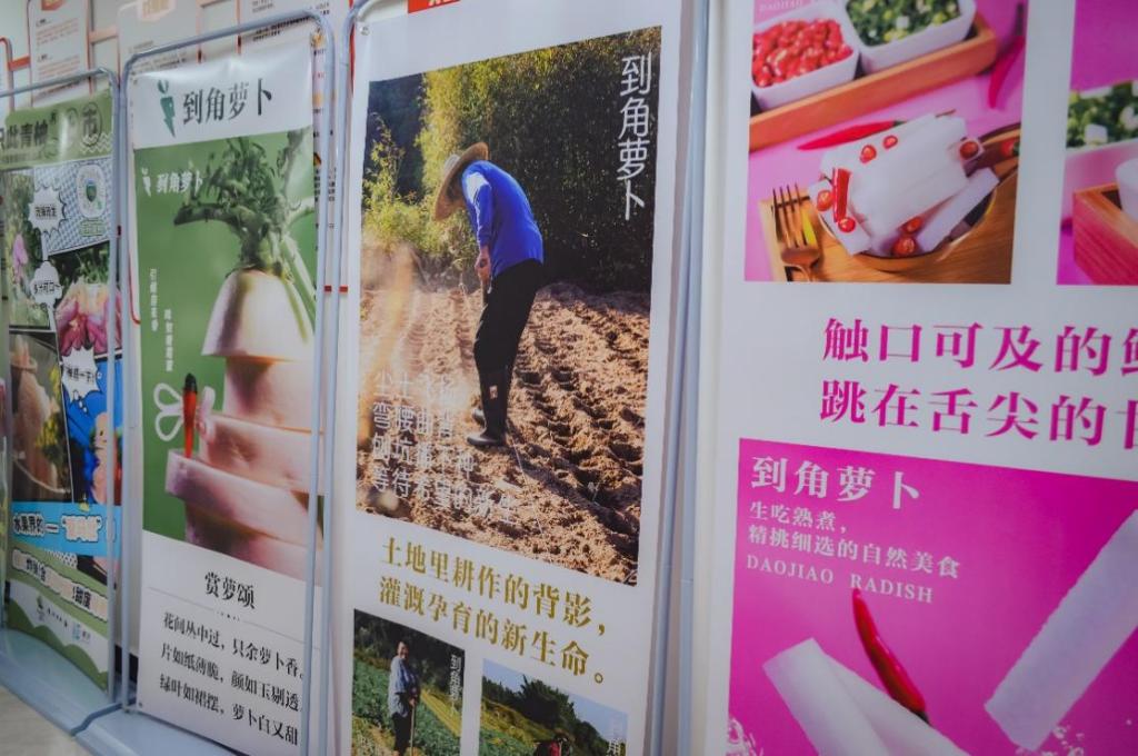 74B74C26DB6DA29A5453C1D3991_01DB50B0_19635