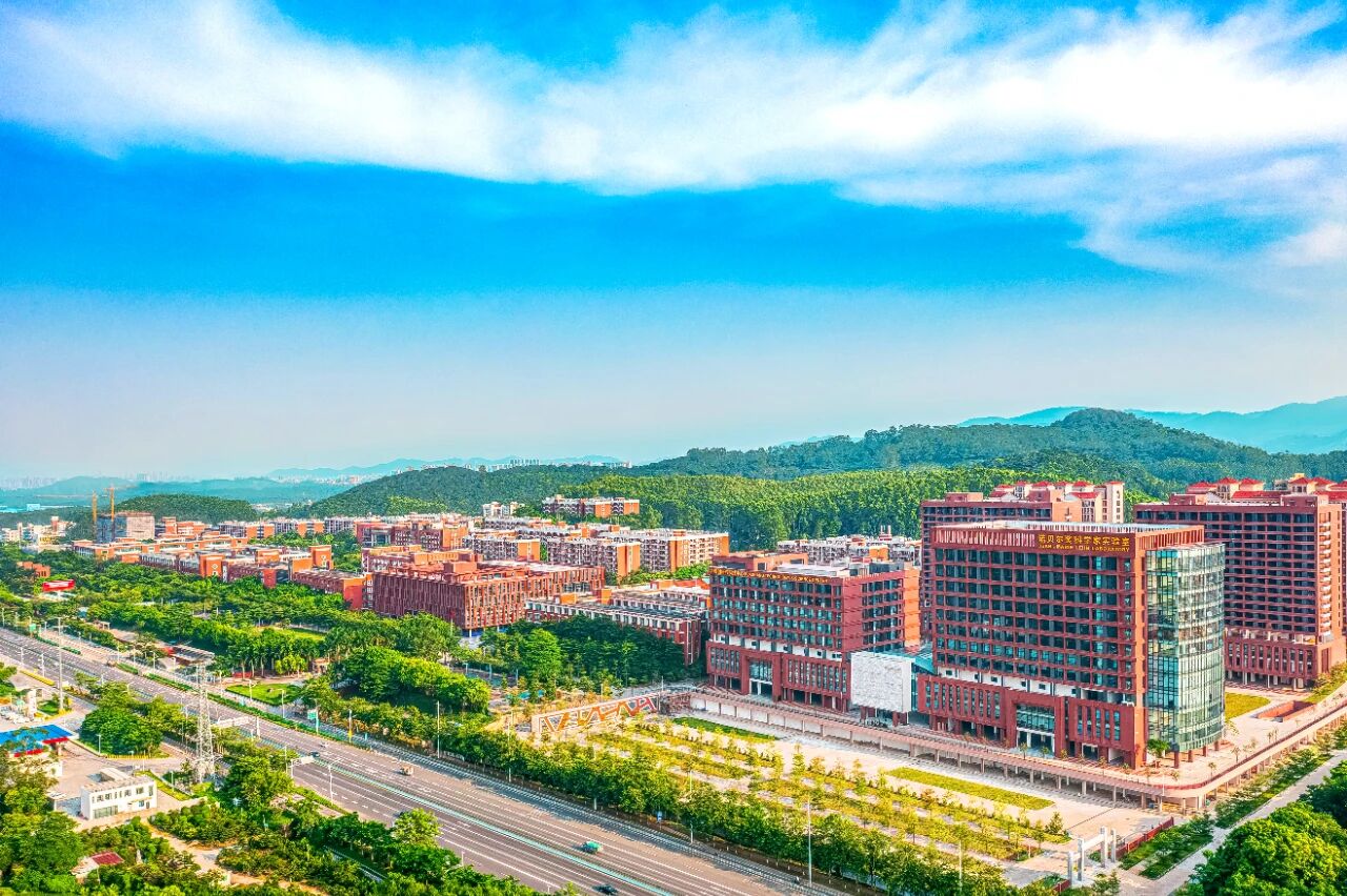 D8D030F3D5FE1695ED4B556DB08_CEE932A0_424A1