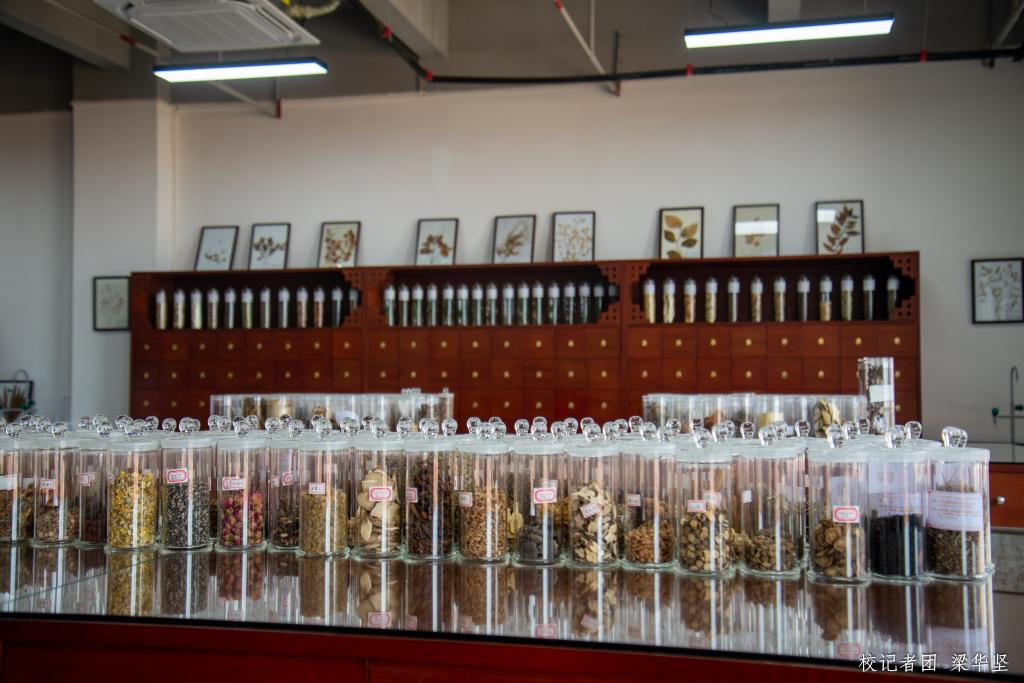 40A6164C41C2619F03E72267B1A_B5C1931E_175B9 40A6164C41C2619F03E72267B1A_B5C1931E_175B9