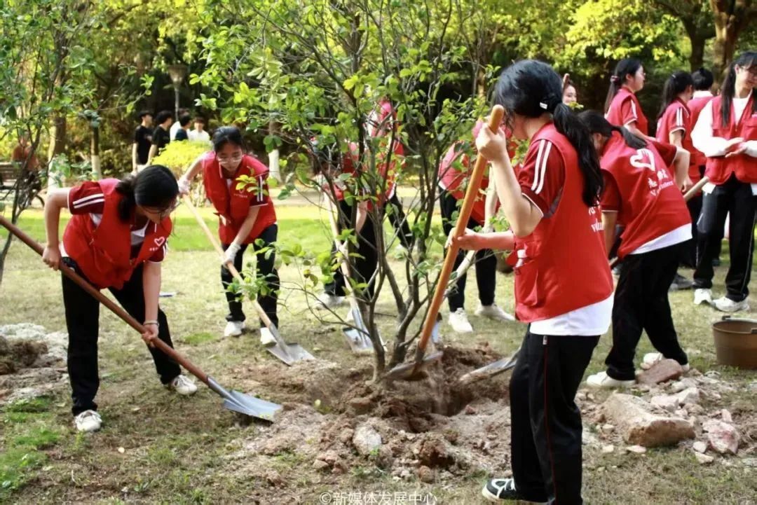 FFD4B0A32D1BC7DE8C41D4EB703_95738414_2DC60