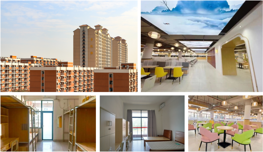 EF423E7FA14C240446F5FEB5DC6_4BAA2B7B_E040D