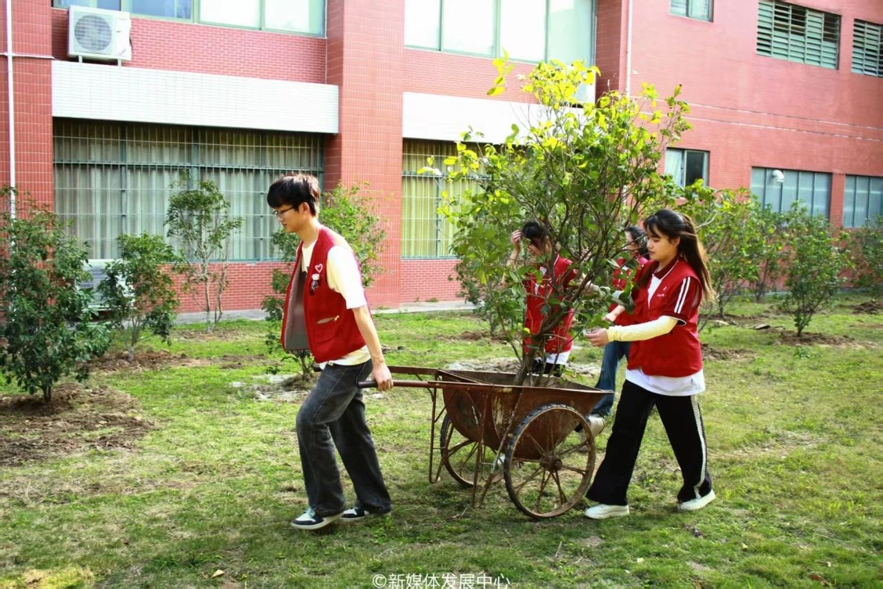 7D1409AAA7D1D3CF6FB18FF9D55_81CF0AE6_3E9CB