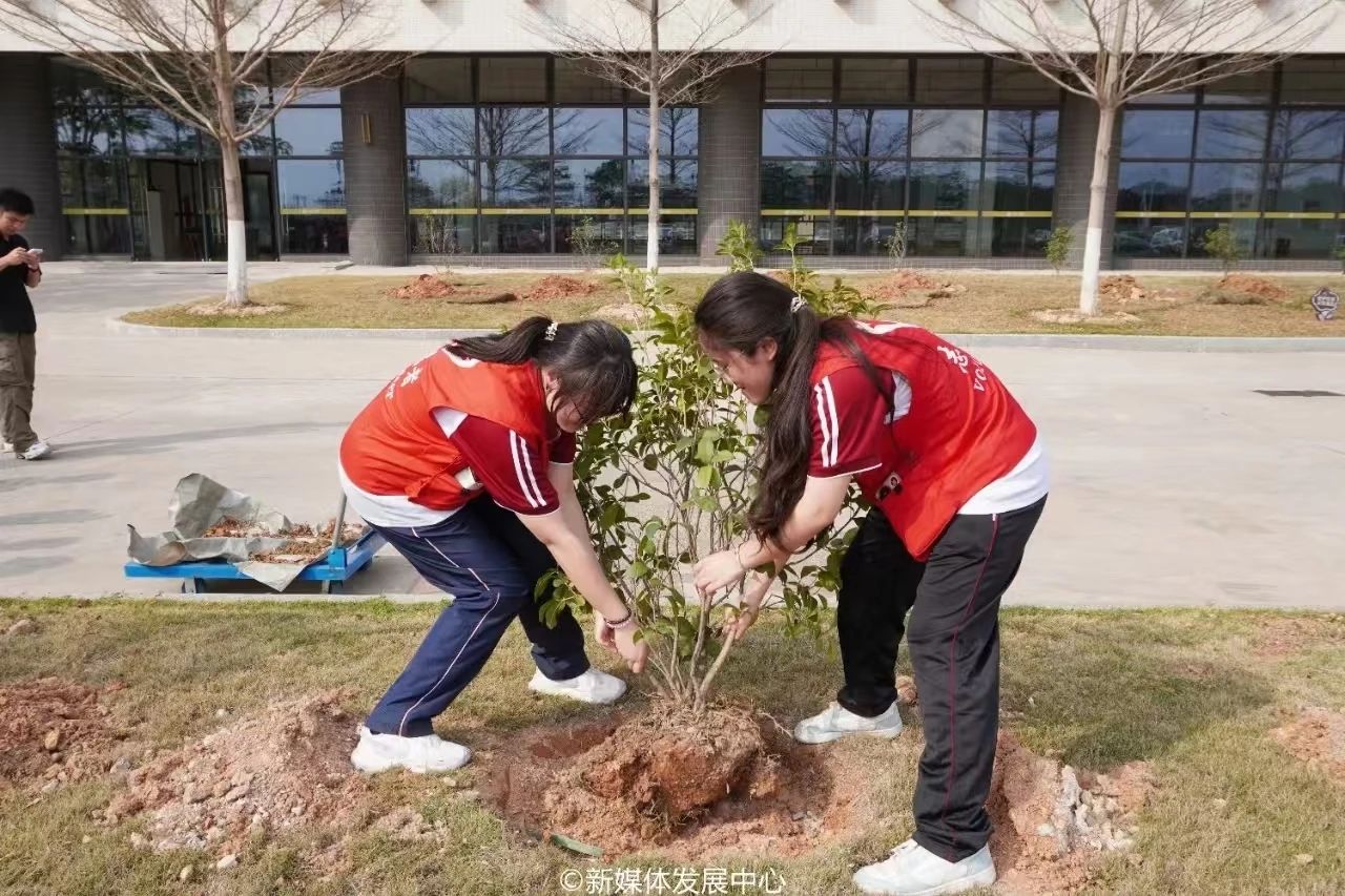 6B2B6DE4DAA7654275B6823754A_AE5A71D5_3ABB4