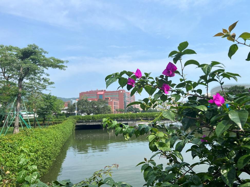 DE8346EA5316993F596EEE56321_D1C46019_226C6