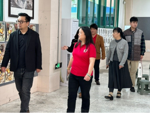 C0B715D7328C2ECF4132A7C8AE7_40354530_B8003