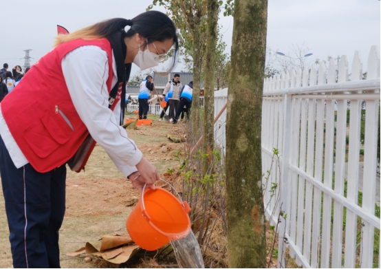 504E4FE28CCD4EF693601C423D6_D1F1ED66_2DD02