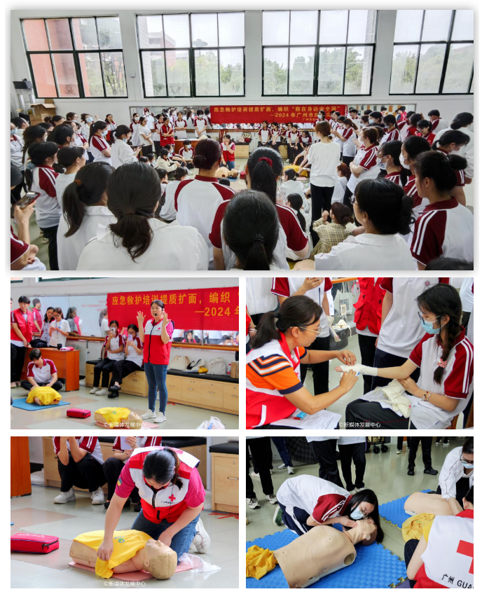 1A8F974F497287946E902B093E8_34BFAE58_D4849 D4849