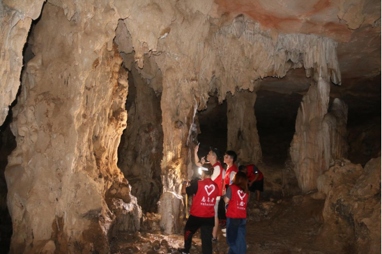 bti������(�й�)�ٷ���վ - APP����