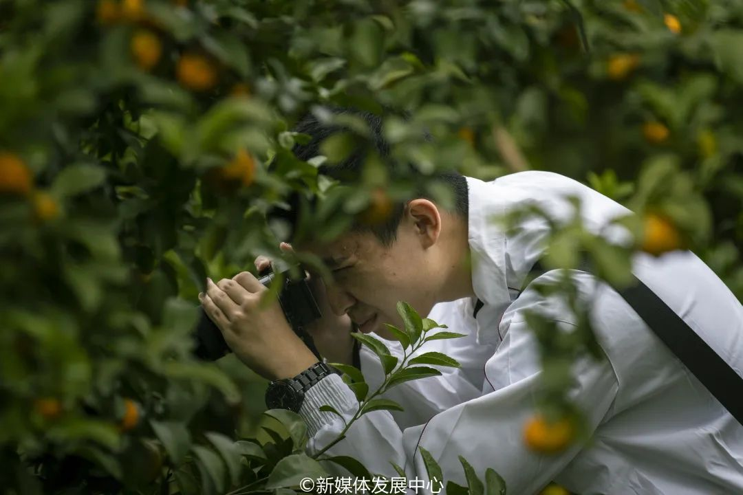 FB09888396EE17372E6C0F8A96F_32DBA100_BF796