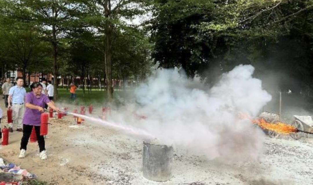 7AA4EAE966A2231410D78237D04_B3798E36_F6D42