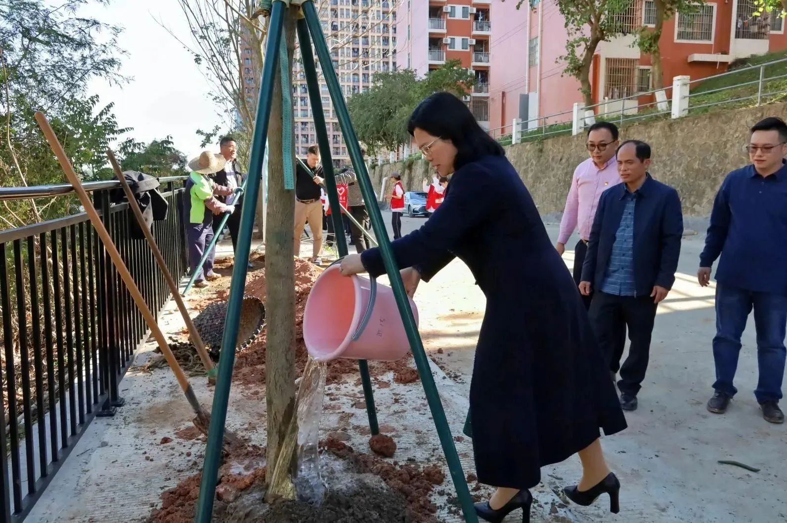 11DEC73162A46439522EB598637_3318914E_4E3B7