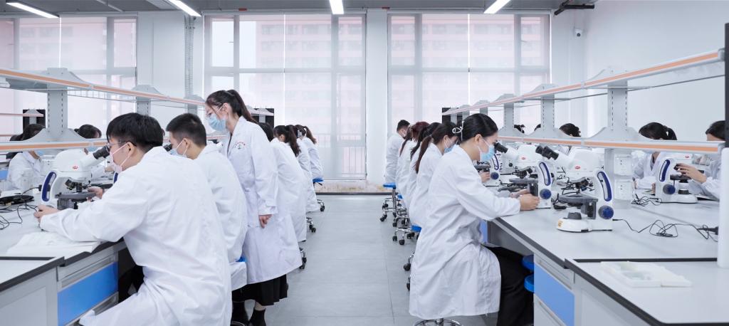 AAD840B6384D746D7078D67C518_AE6A9565_FDCD