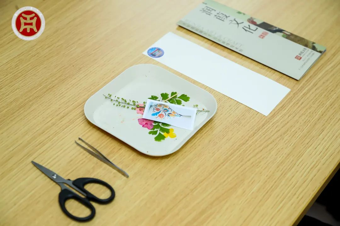 C07206C98C4202066BA61900DDF_E774C63C_B98C1