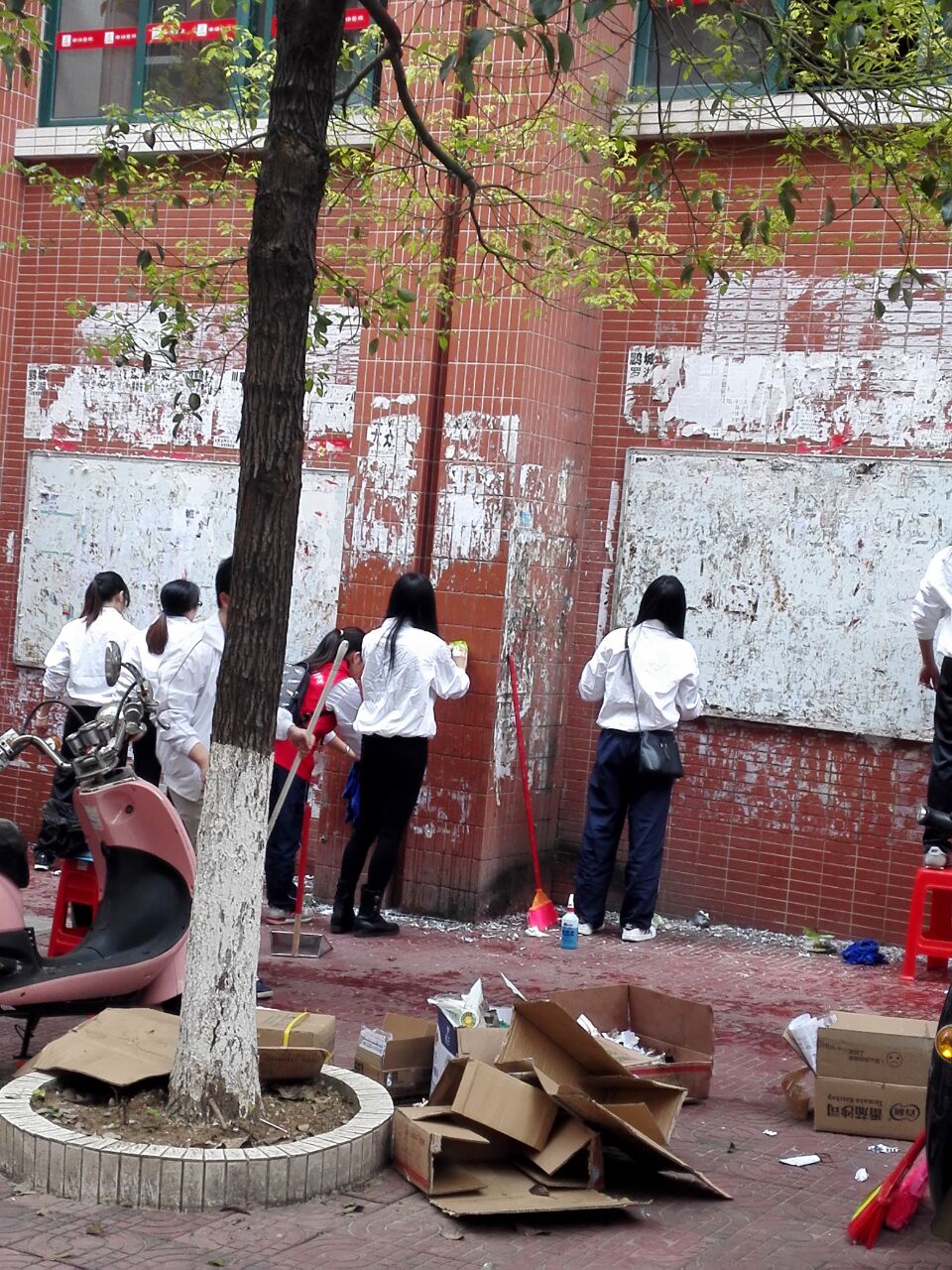 24eigtlaz6 24eigtlaz6