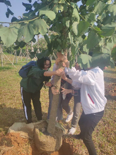 8qs390v2ty 8qs390v2ty