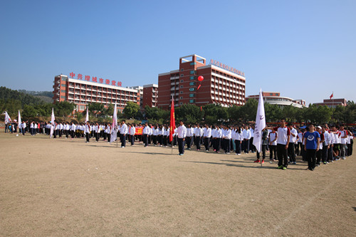 B2780181B5E1F4D2FF733724AEF12805