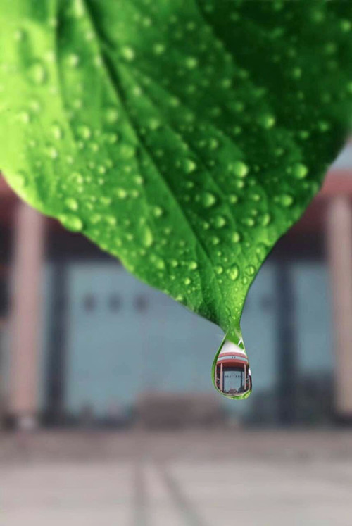 50E9E2F6CDD0843D0CDED0849988F7AD 50E9E2F6CDD0843D0CDED0849988F7AD